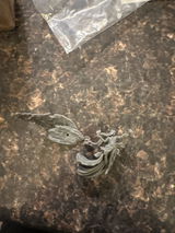 Graciela review photo
