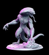 Orin review photo