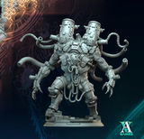 Augustus review photo