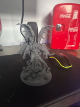 Kaden review photo
