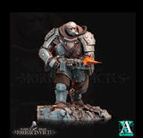 Arvid review photo