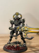 Ansel review photo