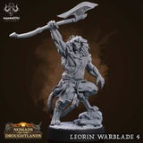 Arvel review photo