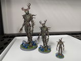 Kasel review photo