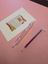 Shelby Spradling review photo