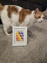 Brittany review photo