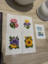 Laura Oliverio review photo
