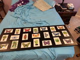 Cynthia Cogdell review photo
