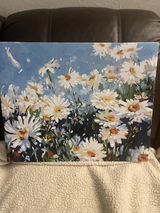DARCY review photo