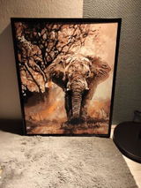 Jolanda S. review photo