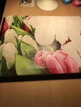 Sonja L. review photo