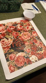 Rosalinde d. review photo