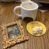 Rachel Adams review photo