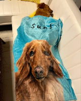 surf.aloha.k review photo
