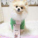 maruoostagram review photo