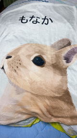 なあ review photo