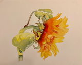 A painter review photo