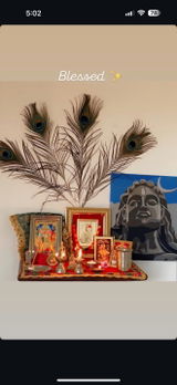 Harshida Mistry review photo