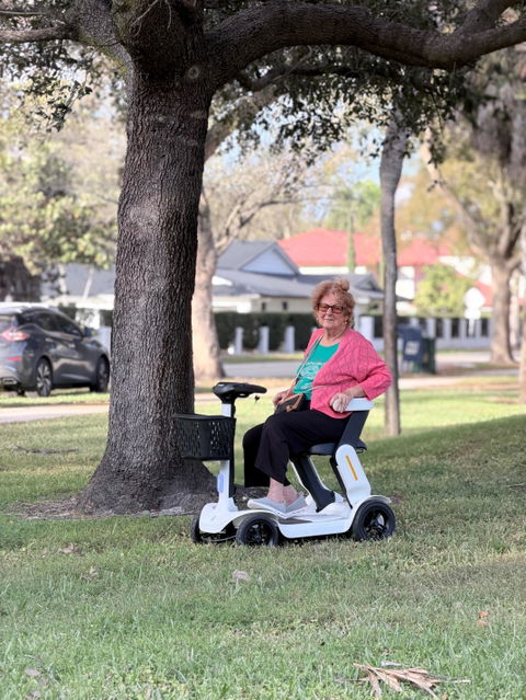 Paiseec Mobility Scooter S3 – All Terrain Scooter with Large Tires for Grass & Gravel