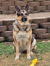 Maddie review photo