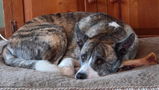 Paulette C. review photo