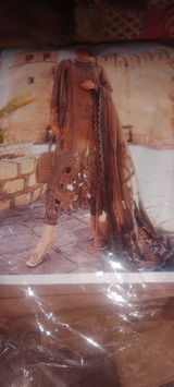 Ms Salman review photo