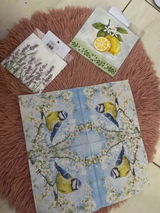 Guardanapo Decoupage Ambiente Tons de Lavanda 25x25 com 2 Unidades