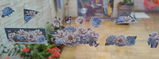 NAIDE Maria Brunelli review photo