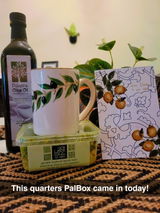 Jen Ethier review photo
