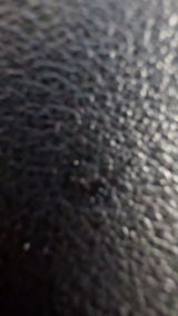 Joel review photo