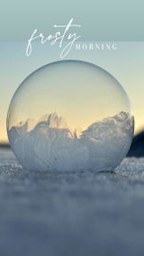Dani review photo