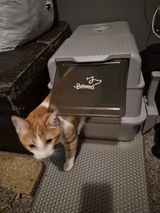 Cassandra review photo
