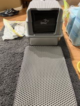 Jamie review photo