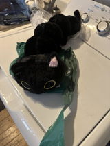 Demetri (New Hampshire) review photo