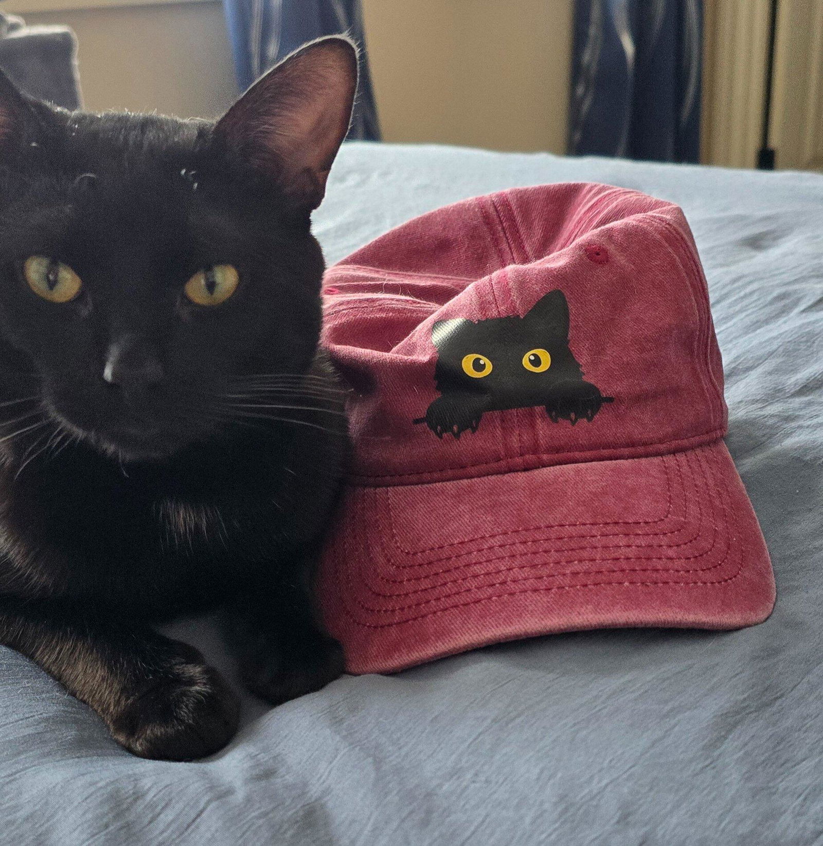 Customer photo — Black Cat - Classic Cap