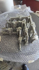 Travis F. review photo