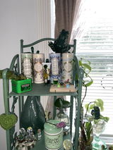 Desiree Caminiti review photo