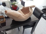 Client v.-.F. review photo