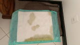 Client v.-.U. review photo
