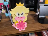 sherry schroedel review photo