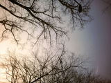Jenn Davy-Day photography review photo