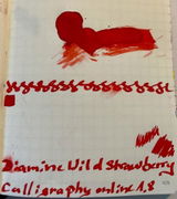 D.G. review photo