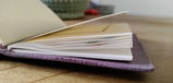 N.M. review photo
