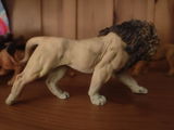Francis Rechatin review photo