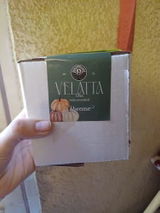 Sofia V. review photo