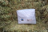 Alejandro P. review photo