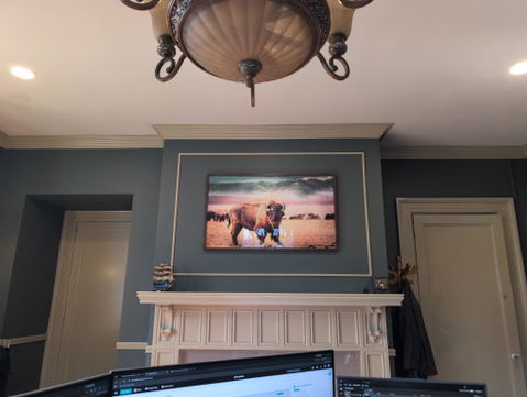 Buffalo Wall Art – American Bison Canvas Print