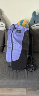 Remy review photo