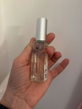 stephane jegou review photo