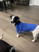 Amazon Customer review photo